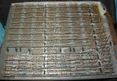 ww-25.JPG (261761 bytes)